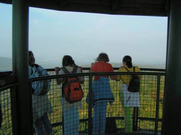 pict4751 (web)